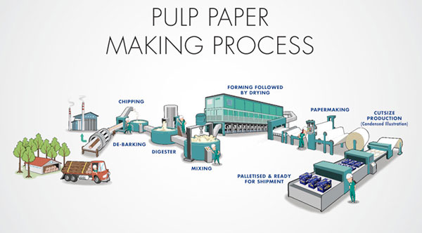quy trình sản xuất giấy