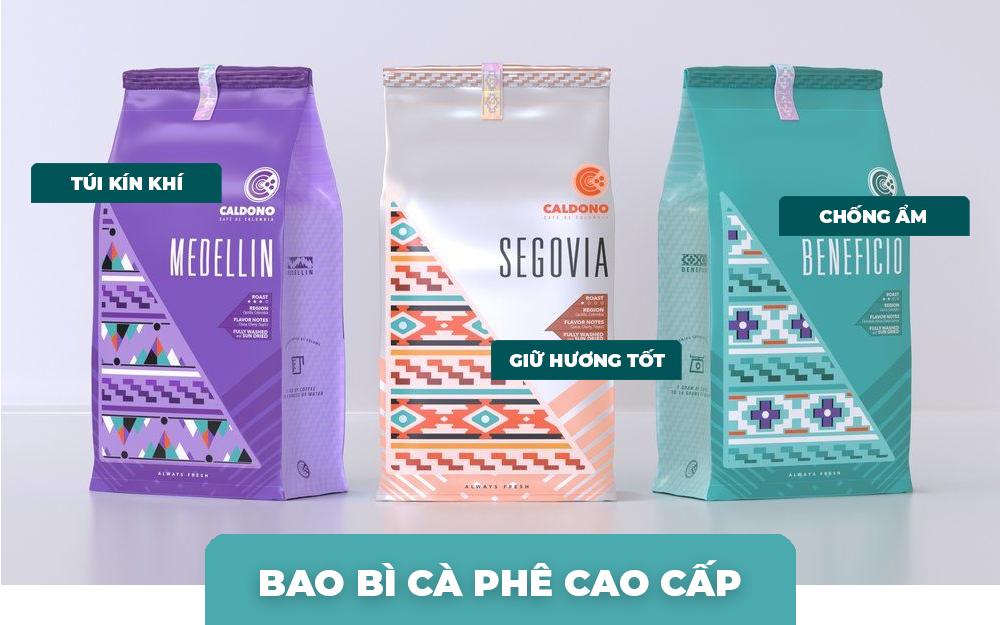 in túi bạc